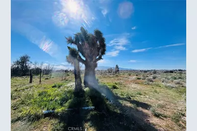 10024 Anderson Ranch, Phelan, CA 92371 - Photo 30