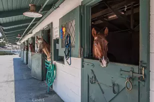 449 Avenida Sevilla, Laguna Woods, CA 92637 - Photo 50