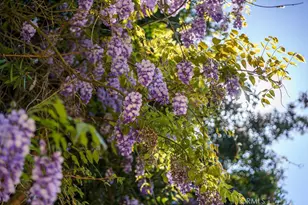 1 Sand Oaks, Laguna Niguel, CA 92677 - Photo 6