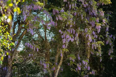 1 Sand Oaks, Laguna Niguel, CA 92677 - Photo 44