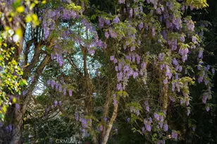 1 Sand Oaks, Laguna Niguel, CA 92677 - Photo 44
