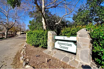 2 Rosana, Coto de Caza, CA 92679 - Photo 28