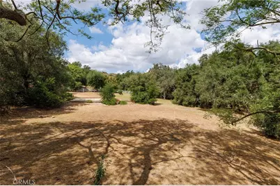 8 Palomino, Coto de Caza, CA 92679 - Photo 50