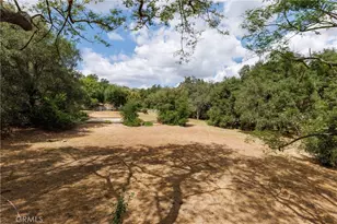 8 Palomino, Coto de Caza, CA 92679 - Photo 50