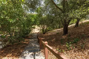 8 Palomino, Coto de Caza, CA 92679 - Photo 48