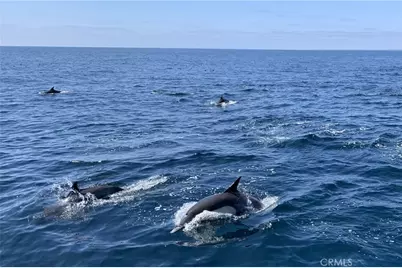 28 Corniche Dr. #J, Dana Point, CA 92673 - Photo 50