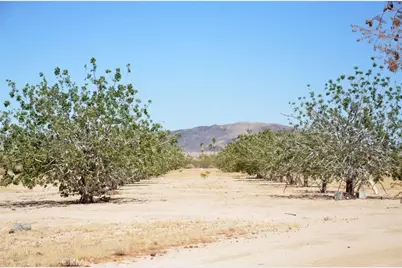 5238 Rice Avenue, Joshua Tree, CA 92252 - Photo 38