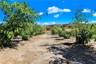 39145 Calle Cordova, Temecula, CA 92592 - Photo 12