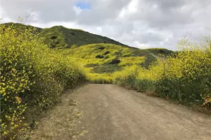 31472 Via La Senda, San Juan Capistrano, CA 92675 - Photo 48