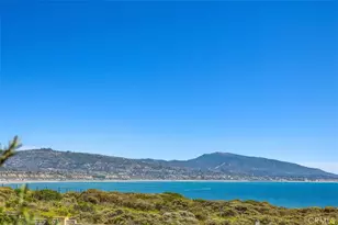 17 Pacific Ridge Pl, Dana Point, CA 92629 - Photo 24