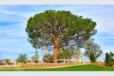 174 Scale, Irvine, CA 92618 - Photo 46