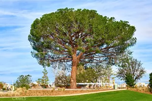 174 Scale, Irvine, CA 92618 - Photo 46