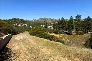 36350 Butterfly Peak, Mountain Center, CA 92561 - Photo 10
