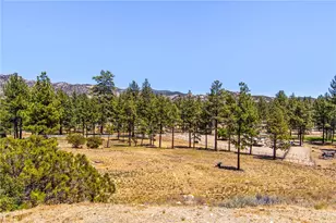 36350 Butterfly Peak, Mountain Center, CA 92561 - Photo 40