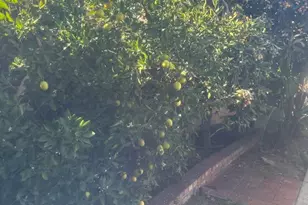 928 W Buffington, Upland, CA 91784 - Photo 2