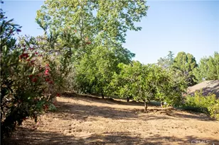 3415 Caballo, Fallbrook, CA 92028 - Photo 36