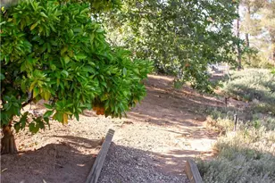 3415 Caballo, Fallbrook, CA 92028 - Photo 42