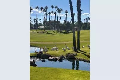 38359 Nasturtium, Palm Desert, CA 92211 - Photo 8