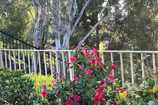 24291 Toponas Ct, Laguna Niguel, CA 92677 - Photo 34