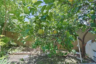 990 S Siet Pl, Anaheim, CA 92806 - Photo 52