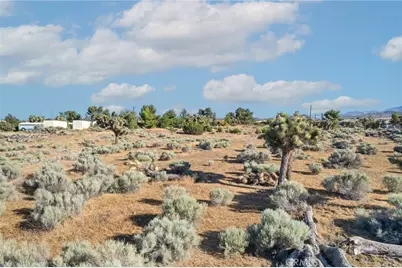8908 Wilson Ranch Road, Phelan, CA 92371 - Photo 40