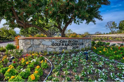 31841 Via Perdiz, Coto de Caza, CA 92679 - Photo 44
