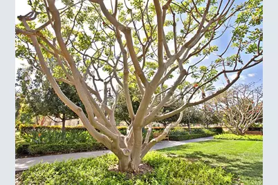 41 Serenity, Irvine, CA 92618 - Photo 32