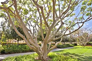 41 Serenity, Irvine, CA 92618 - Photo 32