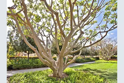 41 Serenity, Irvine, CA 92618 - Photo 14