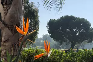 2024 Via Mariposa E, Laguna Woods, CA 92637 - Photo 42