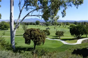 3254 San Amadeo, Laguna Woods, CA 92637 - Photo 44