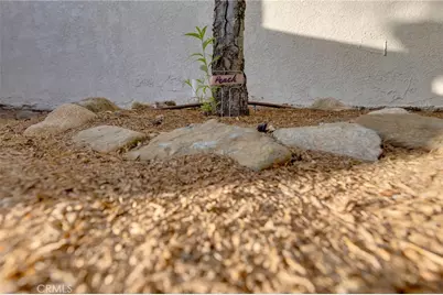 31952 Mill Stream, Trabuco Canyon, CA 92679 - Photo 28