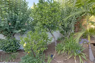 31952 Mill Stream, Trabuco Canyon, CA 92679 - Photo 32