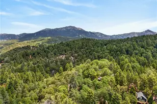 25151 Wrightwood, Idyllwild, CA 92549 - Photo 22