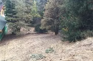 23795 Zuger, Crestline, CA 92325 - Photo 1