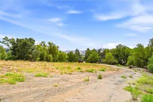 2110 Carbon Canyon, Chino Hills, CA 91709 - Photo 44
