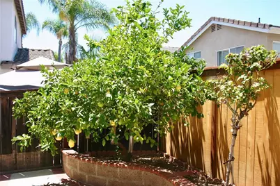 27 Tradition, Rancho Santa Margarita, CA 92688 - Photo 32