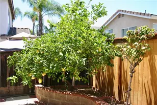 27 Tradition, Rancho Santa Margarita, CA 92688 - Photo 32