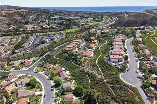 1325 Altura, San Clemente, CA 92673 - Photo 48