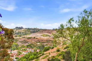 29 Fleurance St, Laguna Niguel, CA 92677 - Photo 48