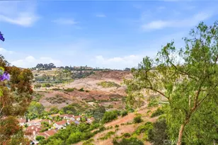 29 Fleurance St, Laguna Niguel, CA 92677 - Photo 48