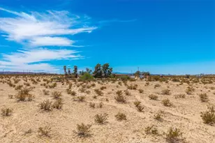 3633 Bluegrass, 29 Palms MCB, CA 92277 - Photo 52
