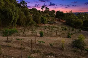 3807 Wendi Ct, Fallbrook, CA 92028 - Photo 10