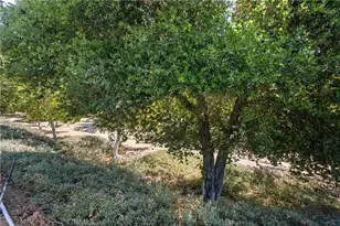 23955 Via Astuto, Murrieta, CA 92562 - Photo 44