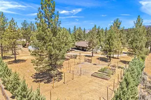 36423 Tool Box Springs, Mountain Center, CA 92561 - Photo 66