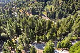 31236 Old City Creek Rd, Running Springs, CA 92382 - Photo 42
