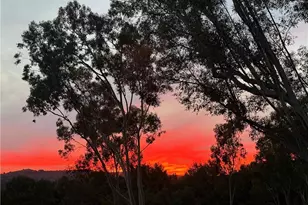 40 Morning View, Irvine, CA 92603 - Photo 52