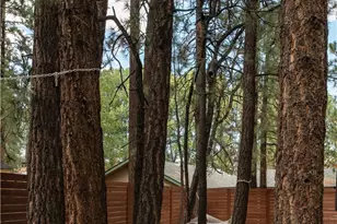 580 St Moritz, Big Bear Lake, CA 92315 - Photo 12