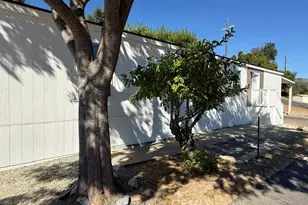 1925 Gold Strike Road, San Andreas, CA 95249 - Photo 10