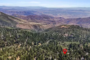 2578 Rim Of The World, Running Springs, CA 92382 - Photo 38